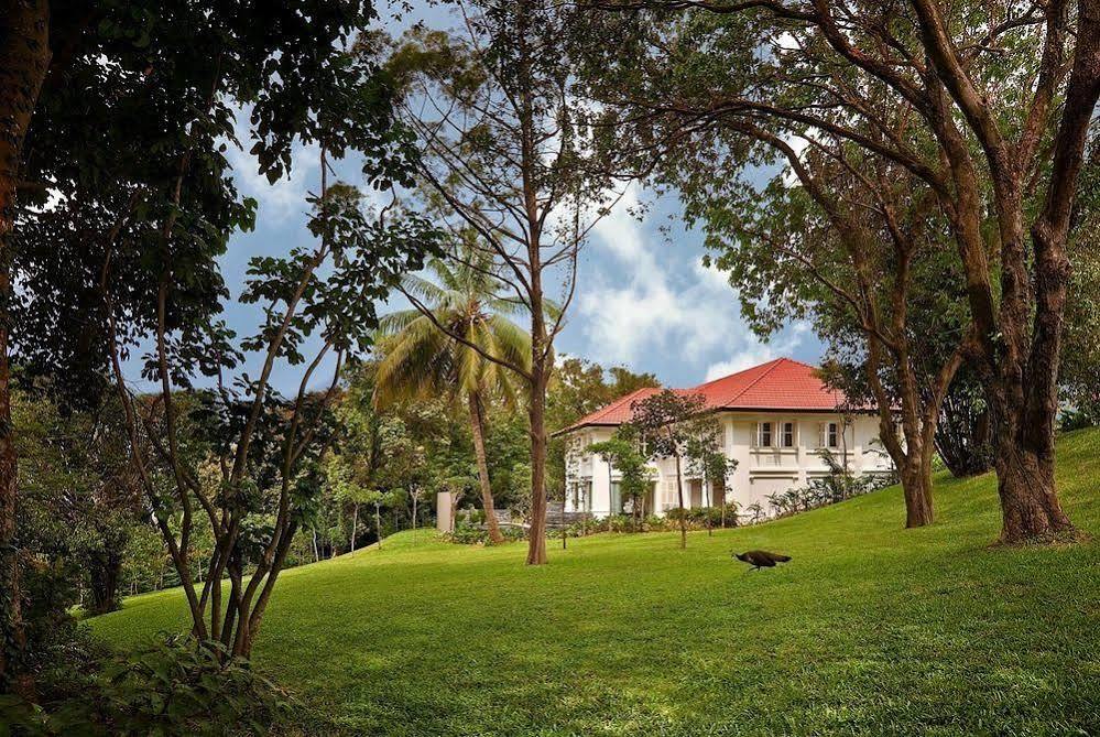 Capella The Club Residences Singapur Dış mekan fotoğraf
